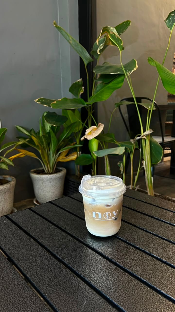 Iced Creamy Palm Latte